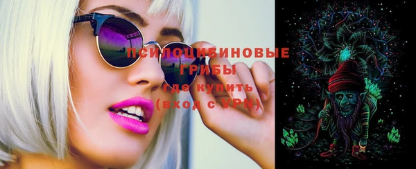 молекула духа Аркадак