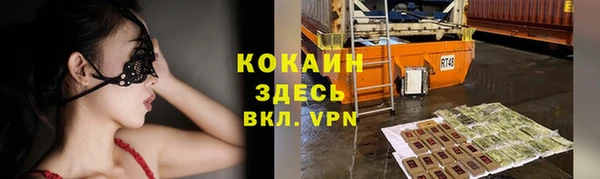 шишки Армянск